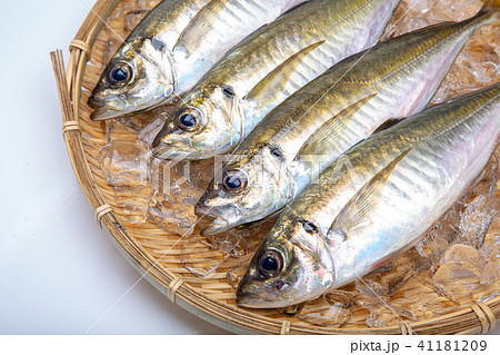 アジ 食材 魚 アジ 食材 魚 41181209