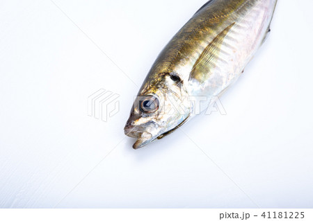 アジ　食材　魚 41181225