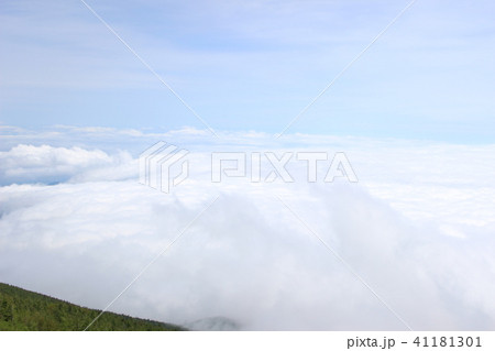 雲海 41181301