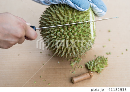Hand using knife to peel durian. Hand using knife to peel durian. 41182953