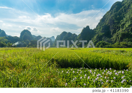 ベトナム Tam coc ベトナム Tam coc 41183390