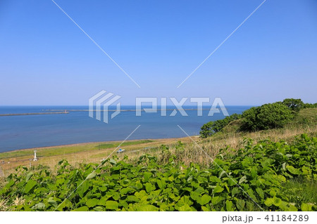 留萌灯台付近から見る留萌の海岸線 41184289