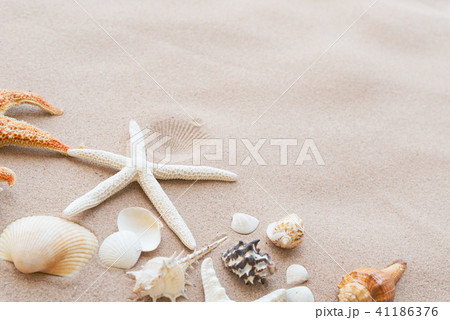 summer holiday and vacation concept. summer holiday and vacation concept. 41186376