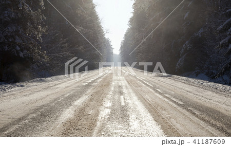 Trees in winter 41187609