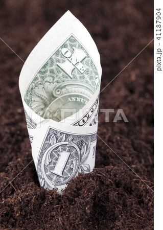 one American dollar, one American dollar, 41187904