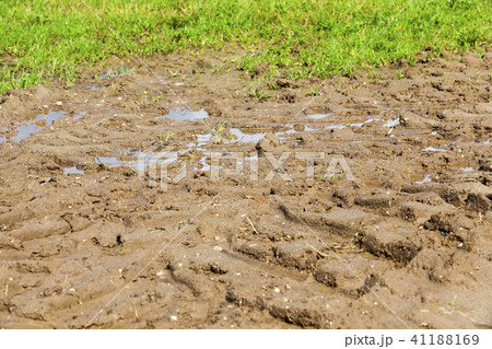 field soil field soil 41188169