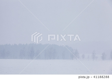 Winter landscape Winter landscape 41188288
