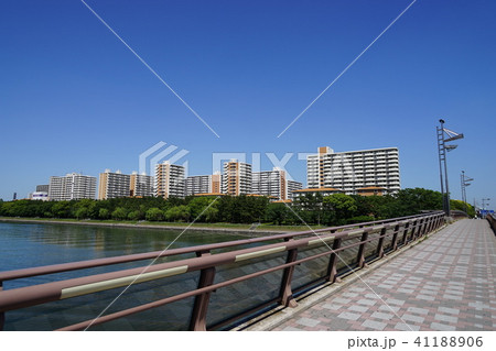 5月 品川103八潮団地 5月 品川103八潮団地 41188906