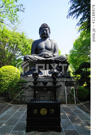 5月　板橋07乗蓮寺東京大仏・赤塚大仏 41188978