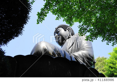 5月 板橋15乗蓮寺東京大仏・赤塚大仏 5月 板橋15乗蓮寺東京大仏・赤塚大仏 41188986