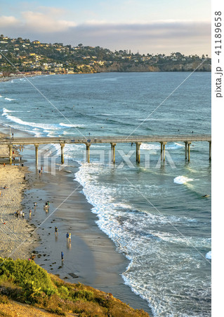 Palm trees Pier Manhattan Beach sunset California 41189658