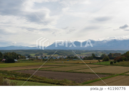 美瑛 富良野 風景 美瑛 富良野 風景 41190776