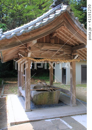 大森宮(なまず神社) 大森宮(なまず神社) 41191250