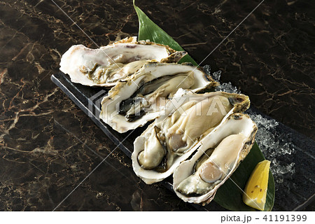 新鮮で美味しい生牡蠣 新鮮で美味しい生牡蠣 41191399