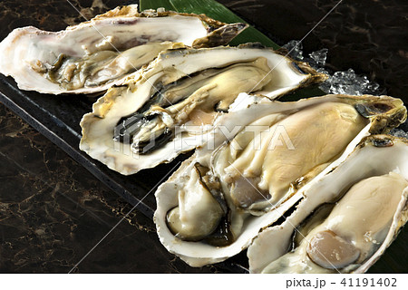 新鮮で美味しい生牡蠣 41191402