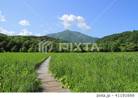 飯綱高原 初夏の大谷地湿原と飯縄山 飯綱高原 初夏の大谷地湿原と飯縄山 41191666