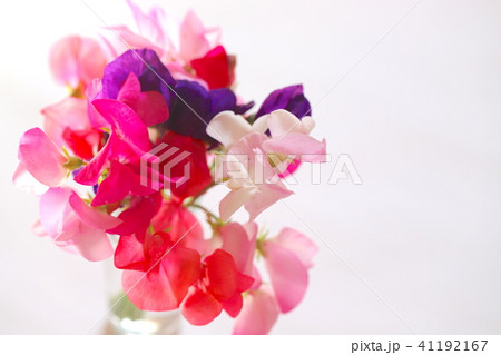 スイートピーの挿花 41192167