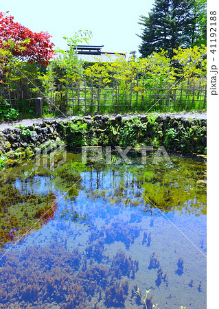 【山梨県】忍野八海・銚子池 41192188