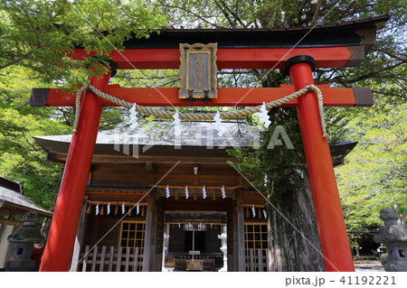 【山梨県】忍野八海浅間神社の鳥居 【山梨県】忍野八海浅間神社の鳥居 41192221