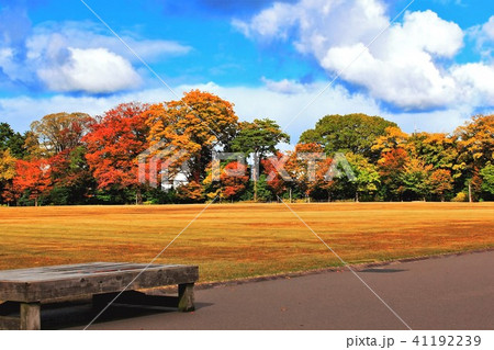 紅葉の金沢城公園 紅葉の金沢城公園 41192239