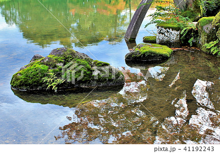 兼六園の苔の石と水鏡 41192243