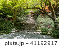 室生寺の一景　大階段 41192917