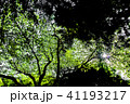 室生寺の一景 41193217