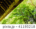 室生寺の一景 41193218