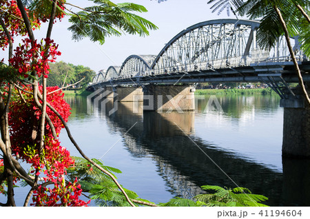 鳳凰木とチャンティエン橋 フエ ベトナム 鳳凰木とチャンティエン橋 フエ ベトナム 41194604