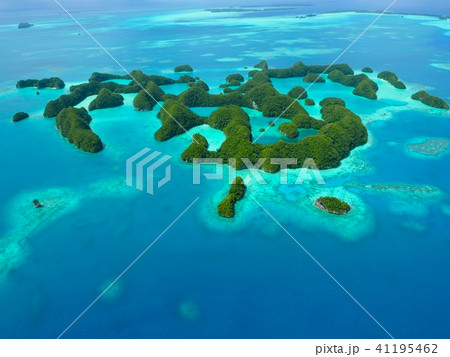 パラオ空撮8 41195462