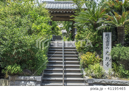 光照寺 山門(鎌倉市) 光照寺 山門(鎌倉市) 41195465