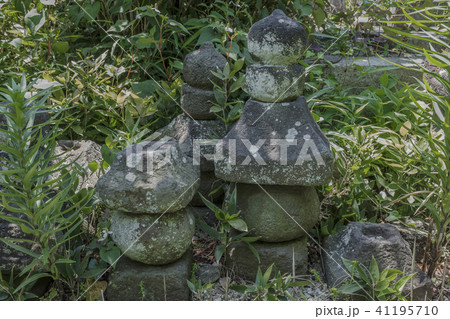 光照寺の石塔(鎌倉市山ノ内) 光照寺の石塔(鎌倉市山ノ内) 41195710