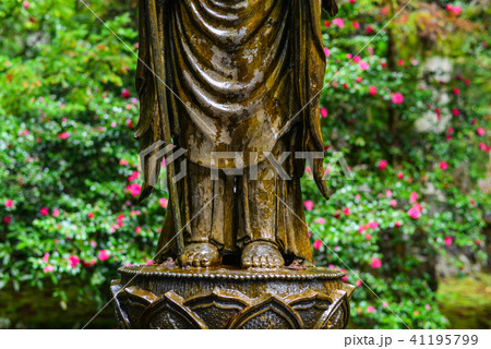 Buddha statue at forest on Koyasan, Japan 41195799