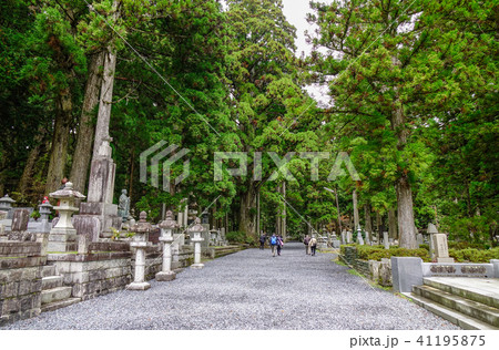 Tombstones at Okunoin Cemetery 41195875