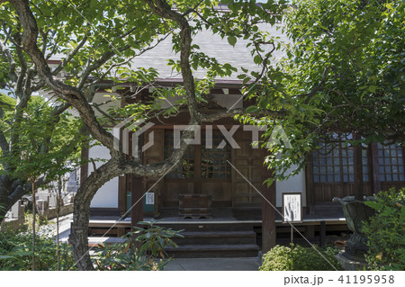 光照寺の本堂(鎌倉市山ノ内) 光照寺の本堂(鎌倉市山ノ内) 41195958