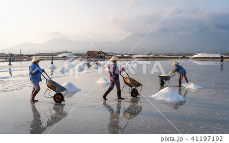 Salt field in Nha Trang, Vietnam 41197192