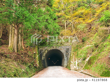 秋の天城山隧道河津町側-18430 秋の天城山隧道河津町側-18430 41197868