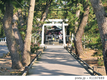 神の道-18472 神の道-18472 41197889