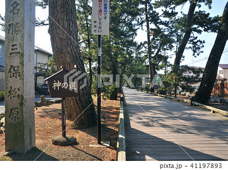 三保の松原神の道-18477 41197893
