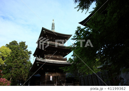 先山千光寺より 41199362