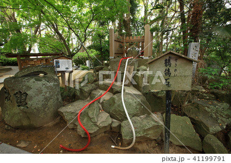 おのころ島神社より 41199791