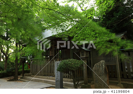 おのころ島神社より おのころ島神社より 41199804