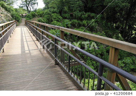 黒羽城址公園 紫陽花橋 黒羽城址公園 紫陽花橋 41200684