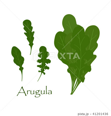 set with arugula set with arugula 41201436