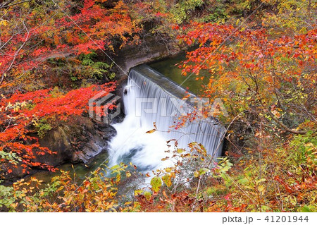 紅葉の鳴子郷 41201944