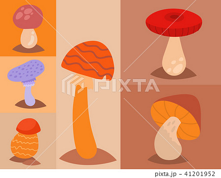Mushrooms fungus agaric toadstool different art style design fungi vector illustration red hat 41201952