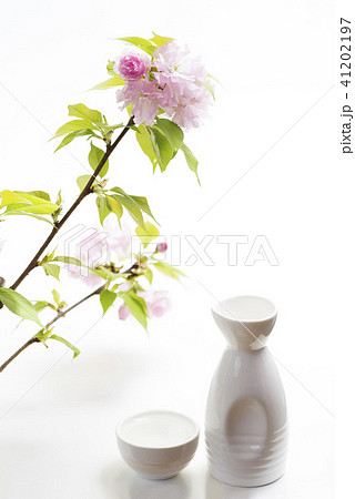ヤエザクラの花と徳利とお猪口 41202197