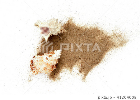 sea shells in sand pile isolated on white  41204008