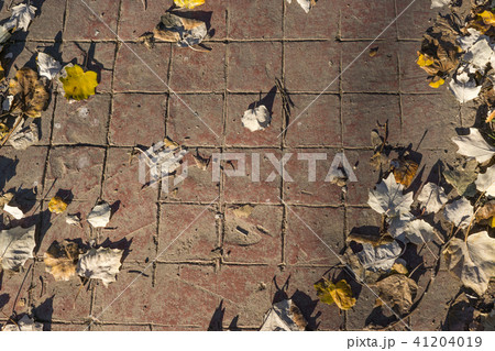 Natural stamped concrete pavement outdoor flooring decorative appearance of red tiling 41204019