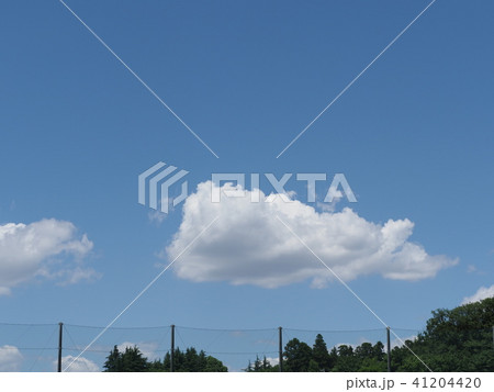 緑と青空と白い雲 41204420